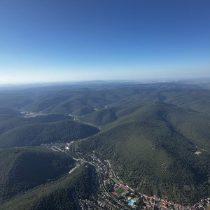 Pfälzer Wald